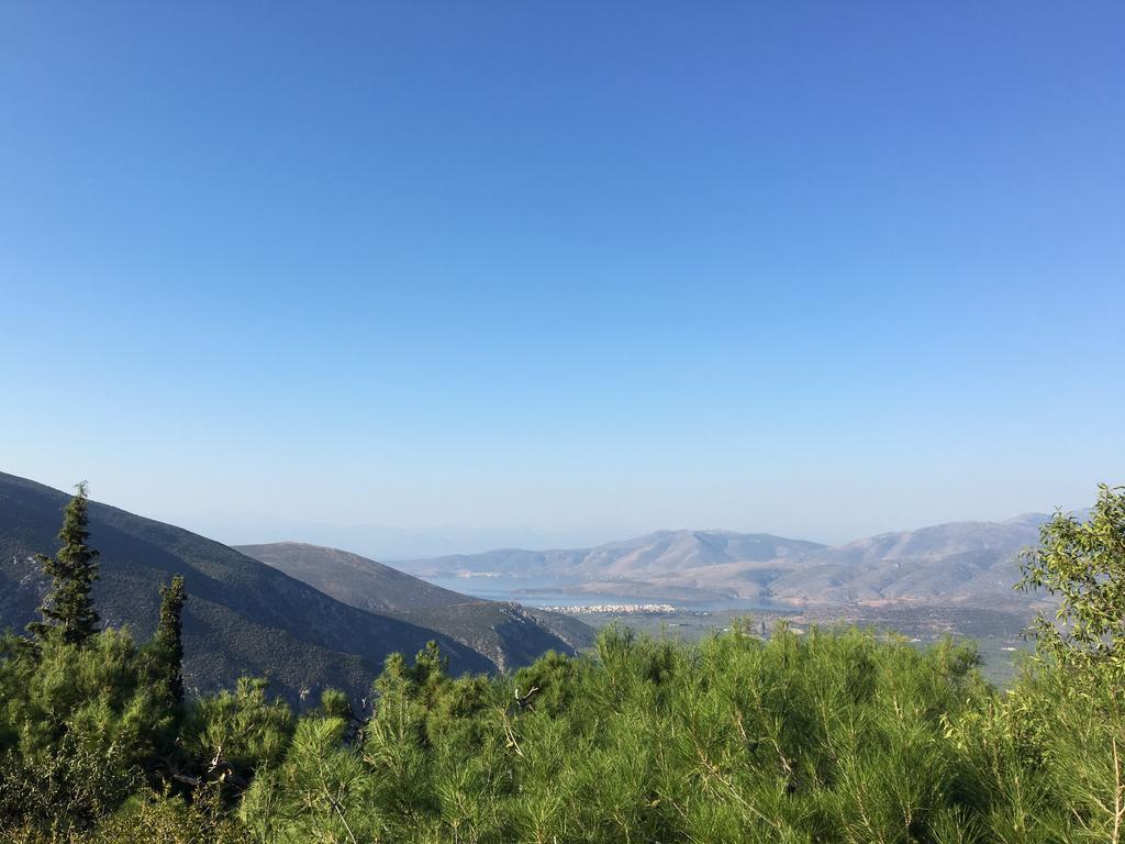 Delphi Palace Екстер'єр фото